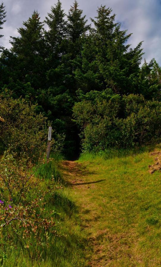 Отель Golden Circle Tents - Glamping Experience Селфосс Экстерьер фото